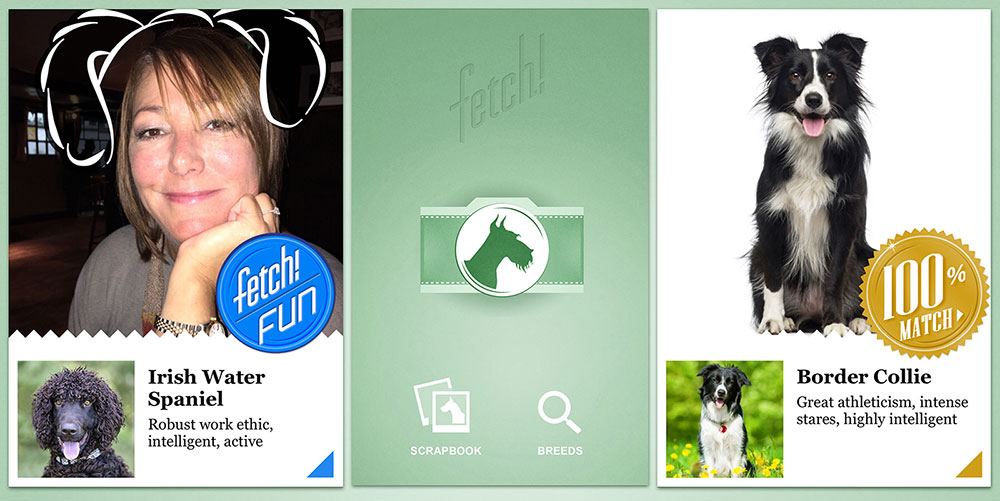 Fetch! app, Microsoft Garage, iOS