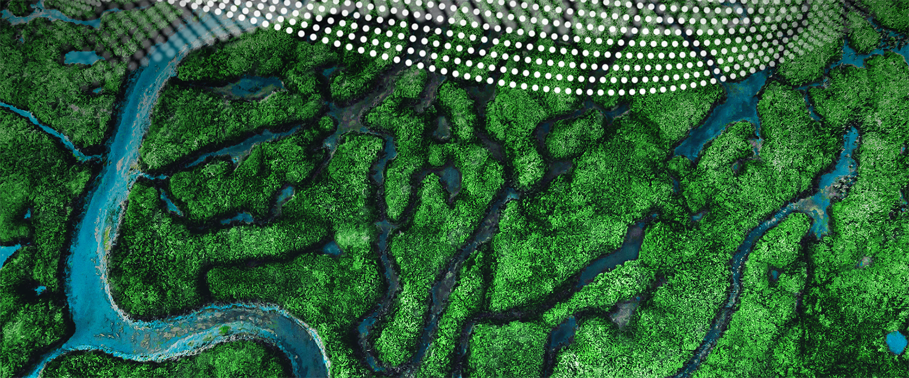 Riverways from above