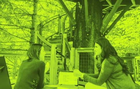 Want to Be More Productive? Think about Sustainability