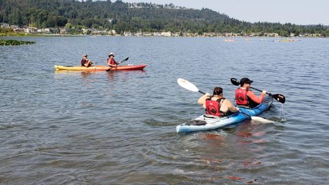 people rowing in kayaks on a lake
