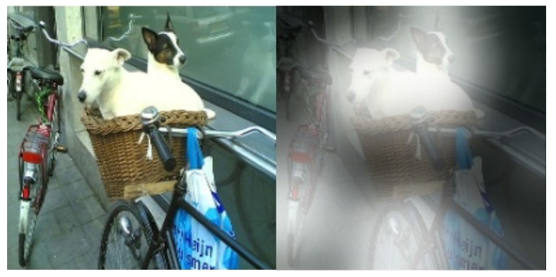 MSR dogs computer vision layering