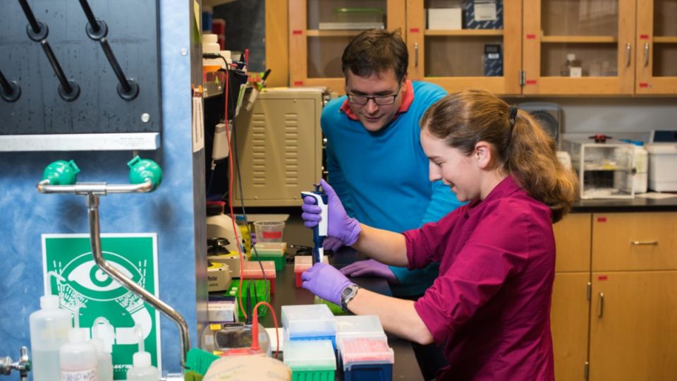 UW Associate Professor Luis Henrique Ceze, in blue, and research scientist Lee Organick prepare DNA containing digital data for sequencing, which allows them to "read" and retrieve the original files. Photo by Tara Brown Photography/University of Washington
