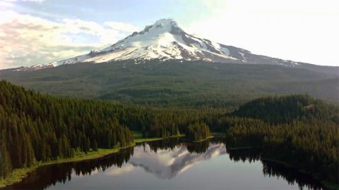 A snow-capped mountain on the horizon, before an evergreen forest, with a reflection in a nearby lake