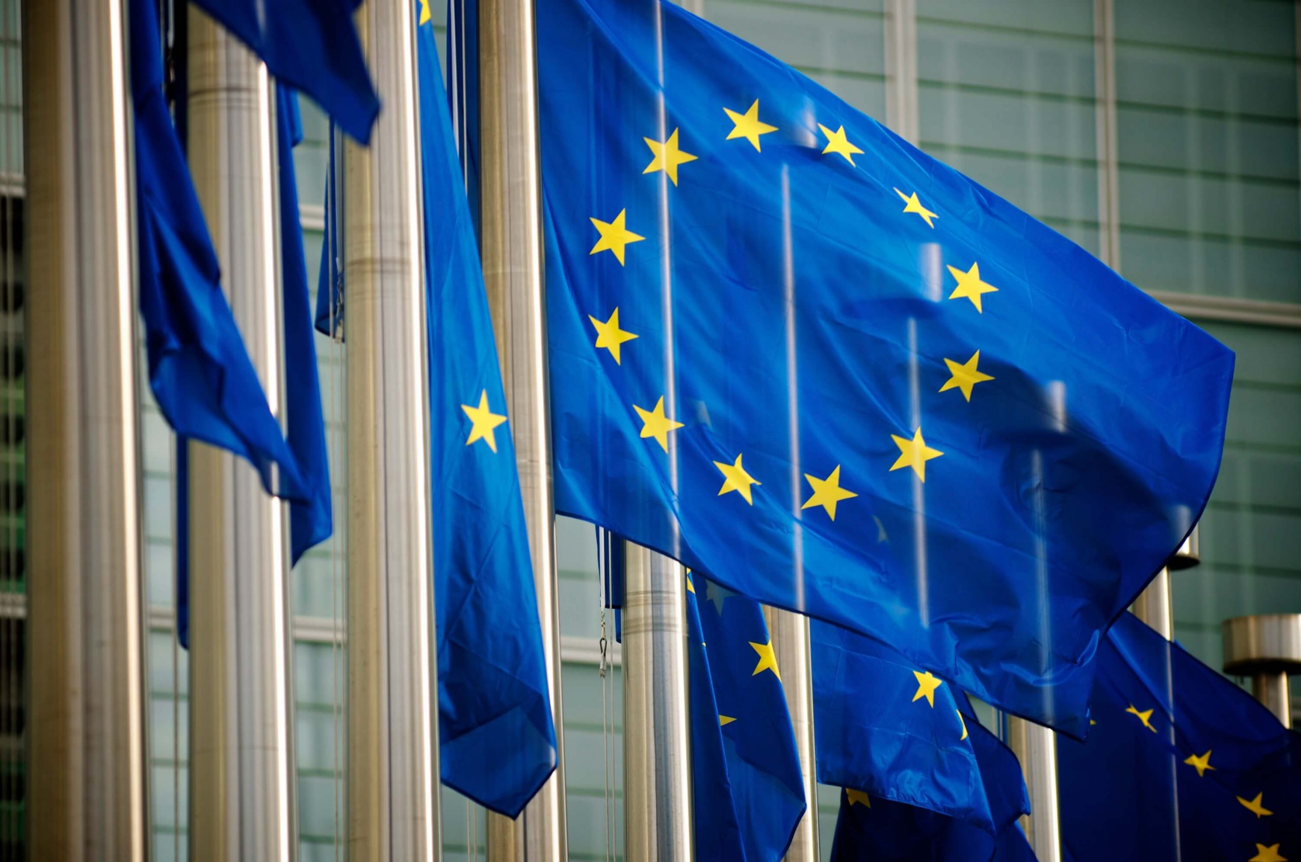 photo of blue flags with circles of gold stars fluttering in the wind
