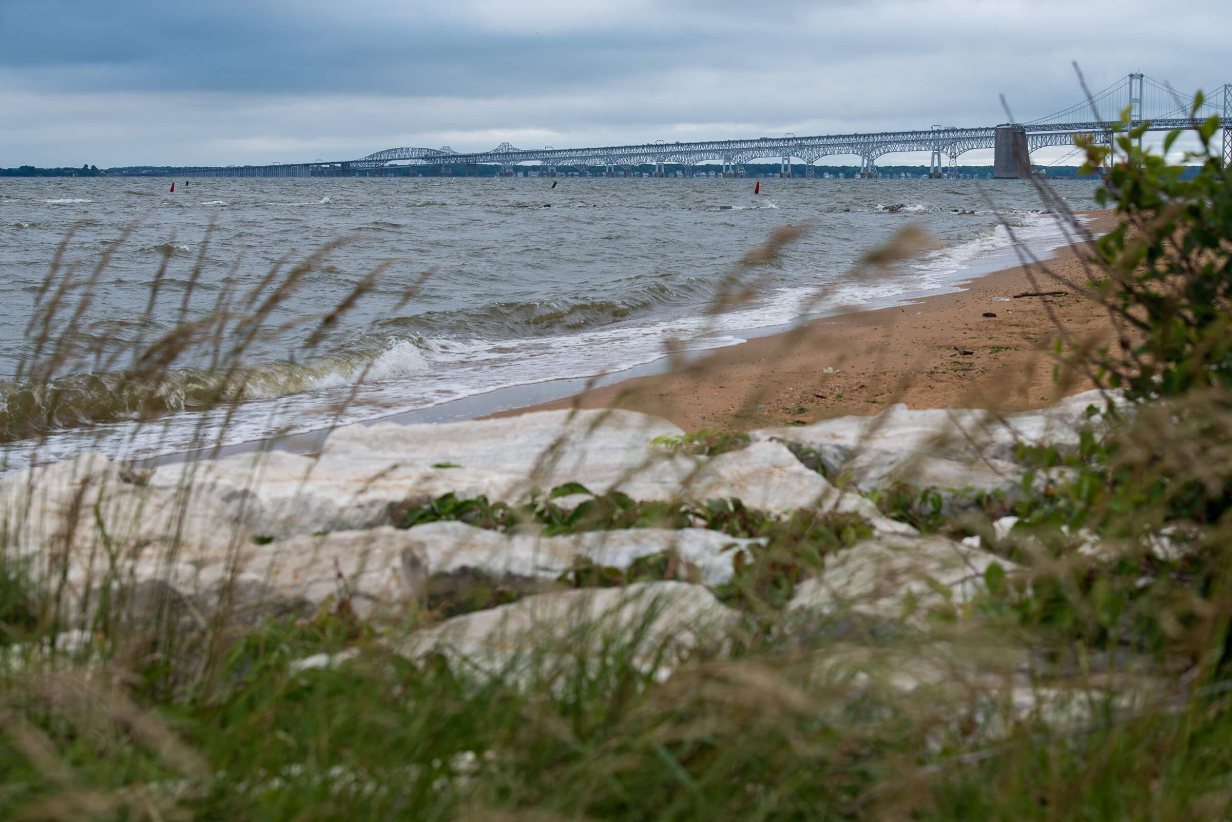 Chesapeake Bay shoreline