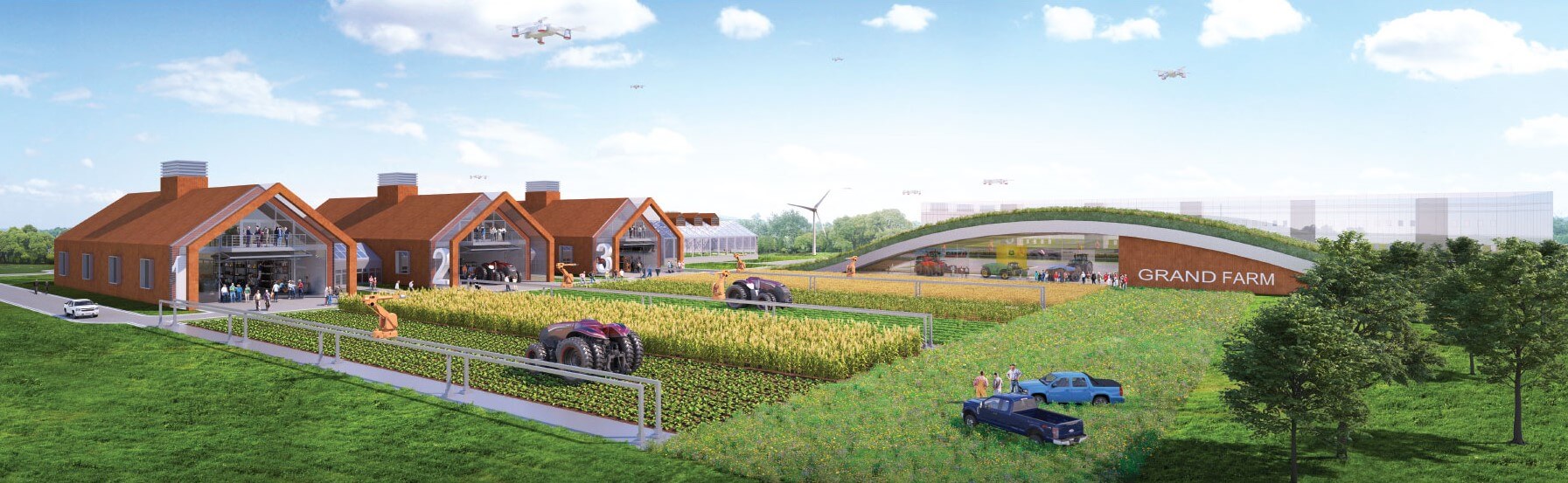 Farm field illustration