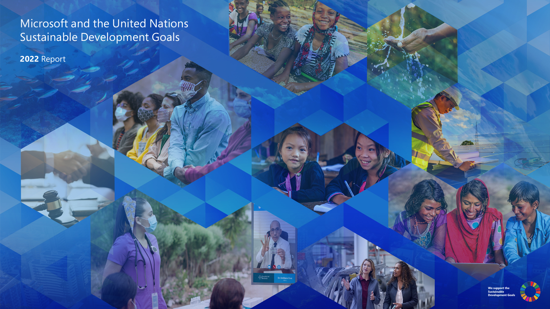 cover of the 2022 SDG report