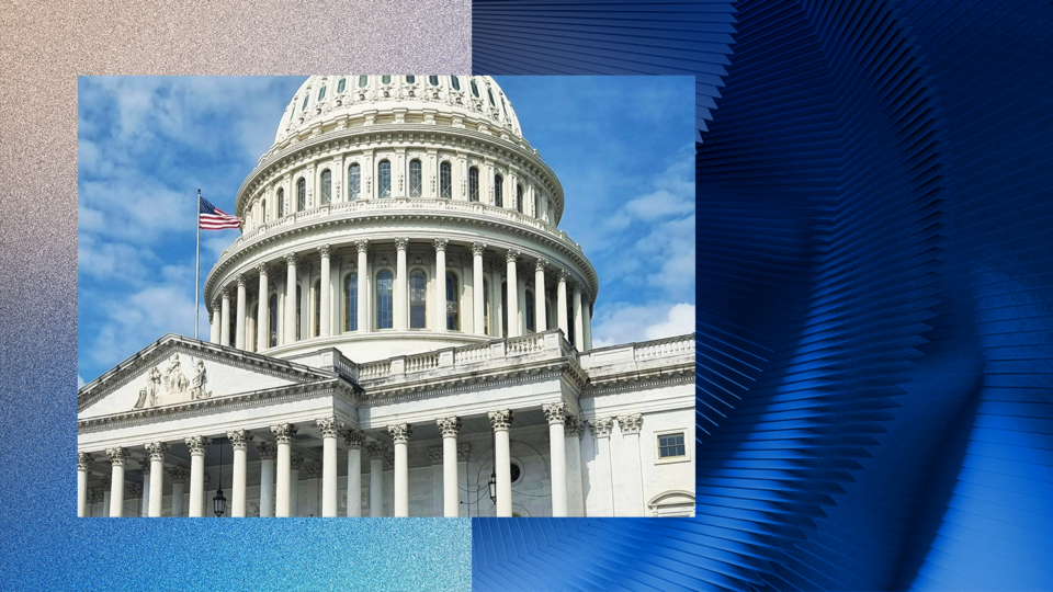The image shows the United States Capitol building with an American flag flying on a pole. The background features a gradient from light blue to dark blue with a textured pattern on the right side.