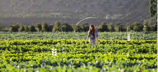 Woman in field